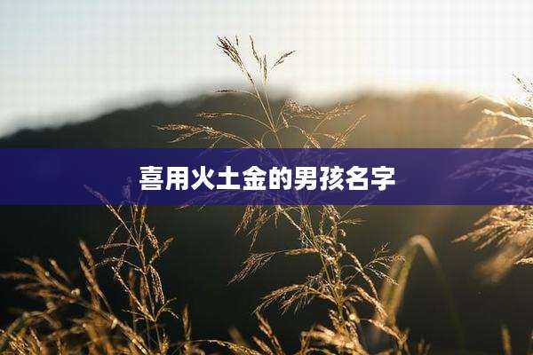 喜用火土金的男孩名字