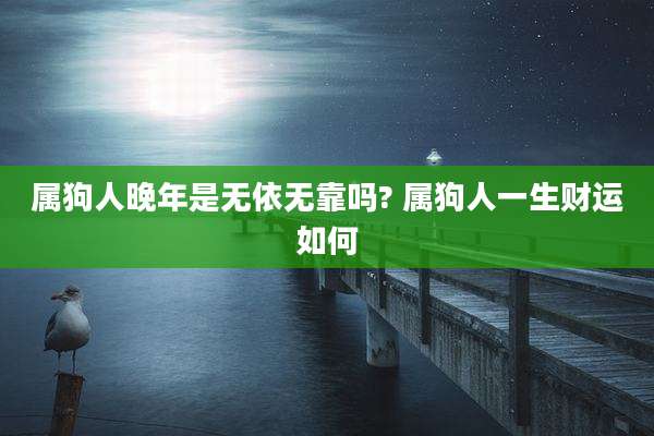 属狗人晚年是无依无靠吗? 属狗人一生财运如何