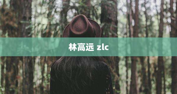 林高远 zlc