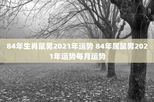 84年生肖鼠男2021年运势 84年属鼠男2021年运势每月运势