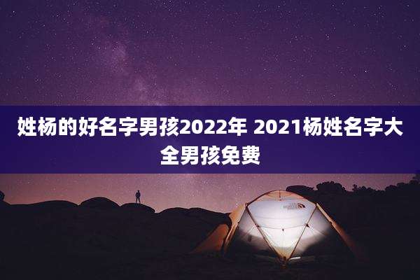 姓杨的好名字男孩2022年 2021杨姓名字大全男孩免费