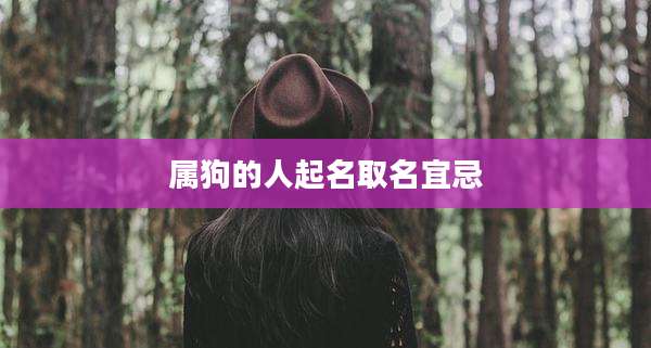 属狗的人起名取名宜忌