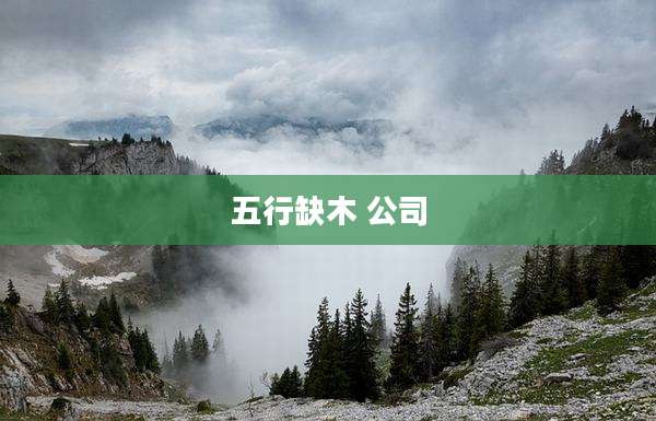五行缺木 公司