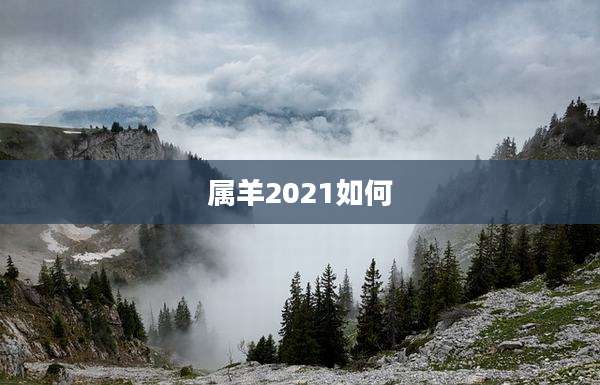 属羊2021如何