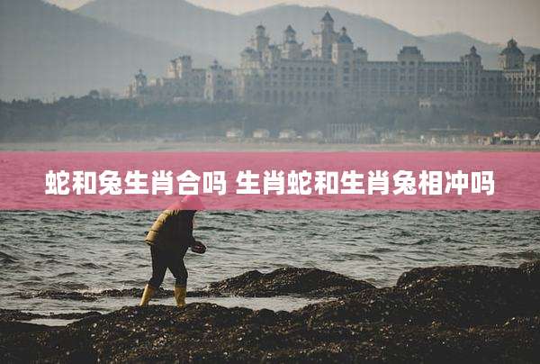 蛇和兔生肖合吗 生肖蛇和生肖兔相冲吗