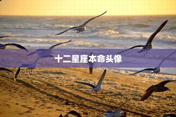 十二星座本命头像