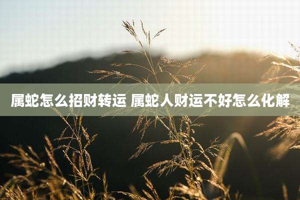 属蛇怎么招财转运 属蛇人财运不好怎么化解