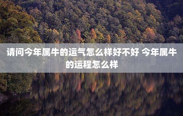 请问今年属牛的运气怎么样好不好 今年属牛的运程怎么样