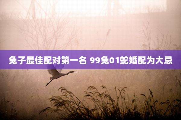 兔子最佳配对第一名 99兔01蛇婚配为大忌