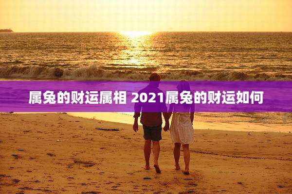 属兔的财运属相 2021属兔的财运如何