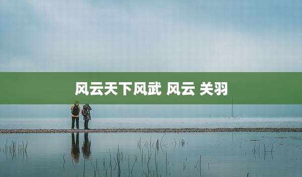 风云天下风武 风云 关羽