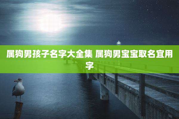 属狗男孩子名字大全集 属狗男宝宝取名宜用字