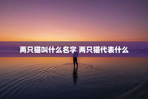 两只猫叫什么名字 两只猫代表什么