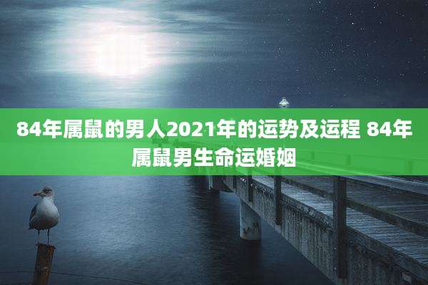 84年属鼠的男人2021年的运势及运程 84年属鼠男生命运婚姻