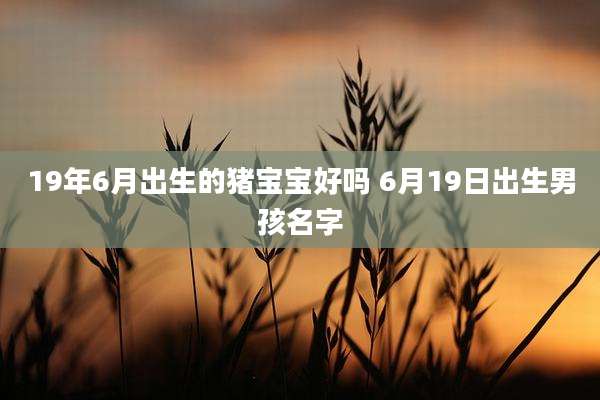 19年6月出生的猪宝宝好吗 6月19日出生男孩名字