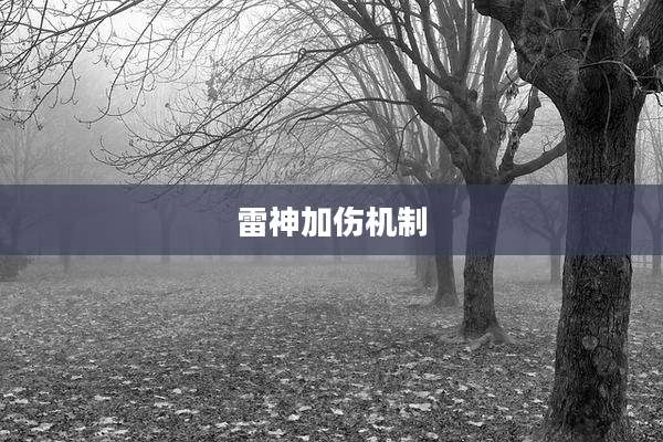 雷神加伤机制