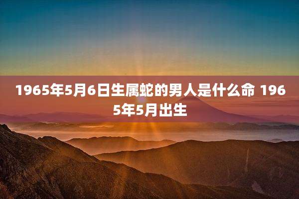 1965年5月6日生属蛇的男人是什么命 1965年5月出生