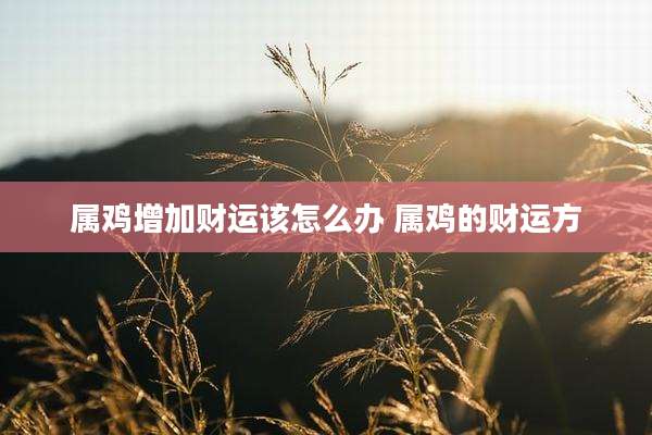 属鸡增加财运该怎么办 属鸡的财运方