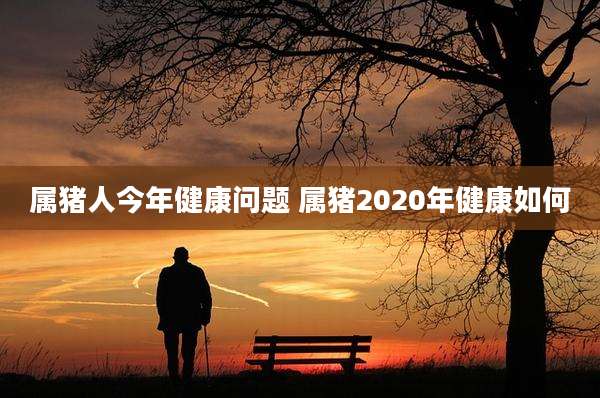 属猪人今年健康问题 属猪2020年健康如何