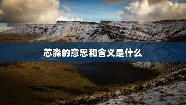 芯淼的意思和含义是什么