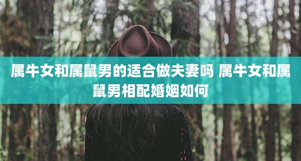 属牛女和属鼠男的适合做夫妻吗 属牛女和属鼠男相配婚姻如何