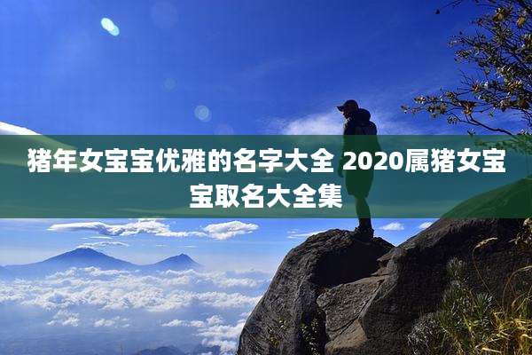 猪年女宝宝优雅的名字大全 2020属猪女宝宝取名大全集