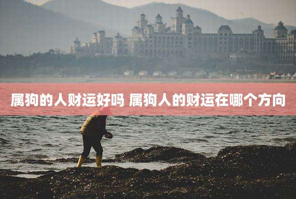 属狗的人财运好吗 属狗人的财运在哪个方向