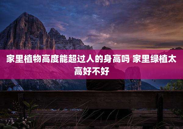 家里植物高度能超过人的身高吗 家里绿植太高好不好