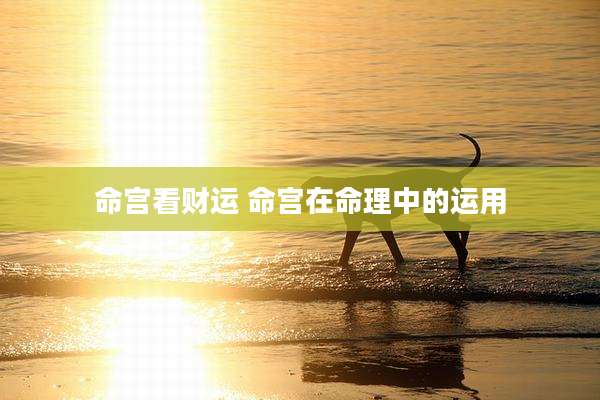 命宫看财运 命宫在命理中的运用