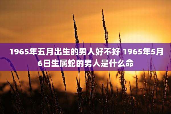 1965年五月出生的男人好不好 1965年5月6日生属蛇的男人是什么命
