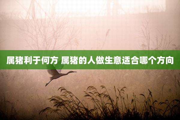 属猪利于何方 属猪的人做生意适合哪个方向