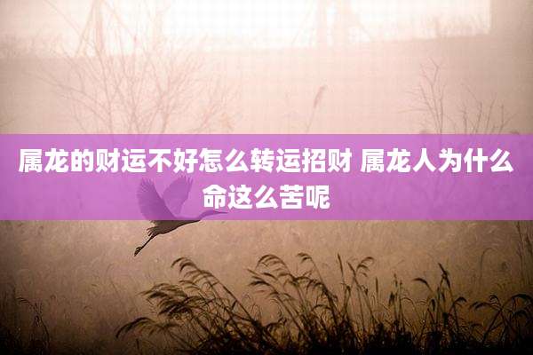 属龙的财运不好怎么转运招财 属龙人为什么命这么苦呢