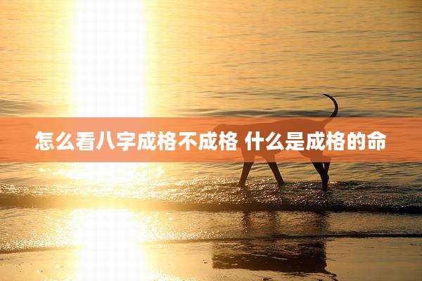 怎么看八字成格不成格 什么是成格的命