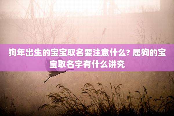 狗年出生的宝宝取名要注意什么? 属狗的宝宝取名字有什么讲究