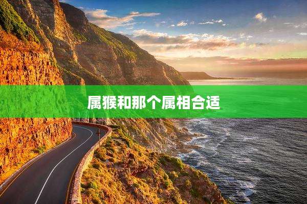 属猴和那个属相合适