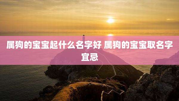 属狗的宝宝起什么名字好 属狗的宝宝取名字宜忌