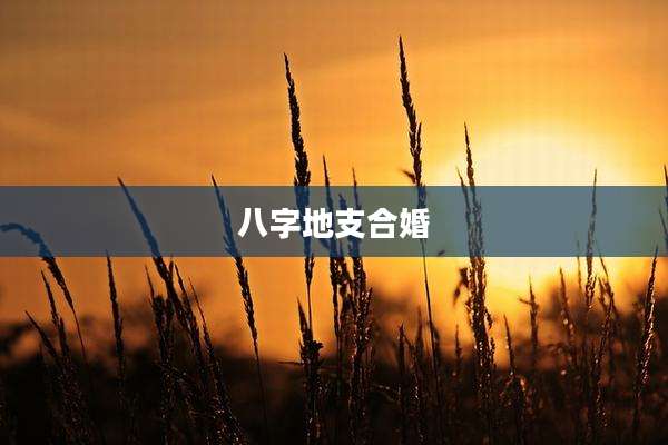 八字地支合婚
