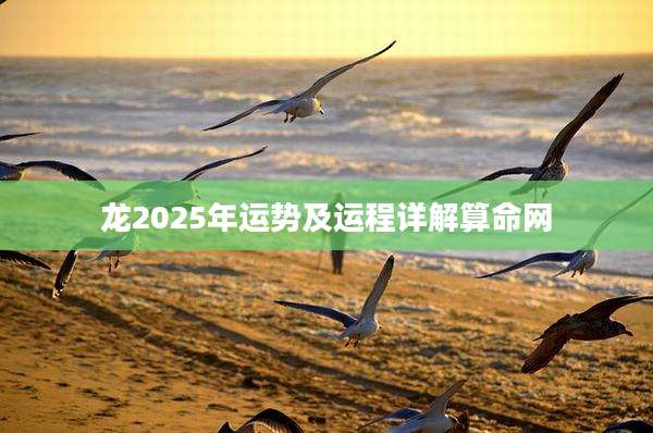 龙2025年运势及运程详解算命网