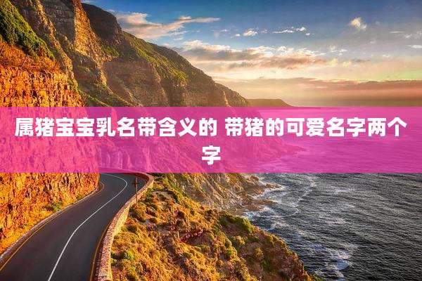 属猪宝宝乳名带含义的 带猪的可爱名字两个字
