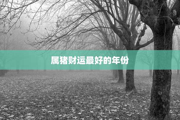 属猪财运最好的年份