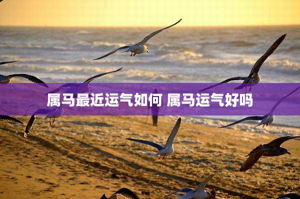 属马最近运气如何 属马运气好吗