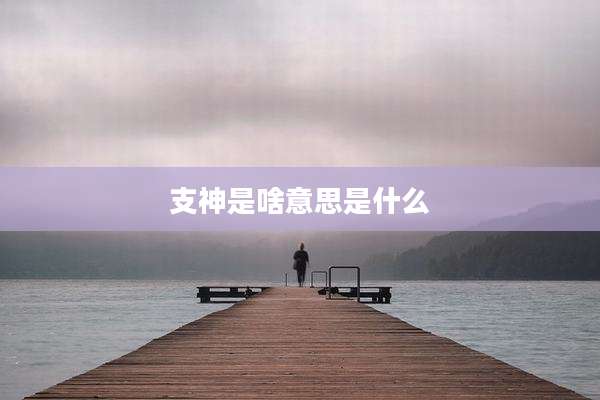 支神是啥意思是什么