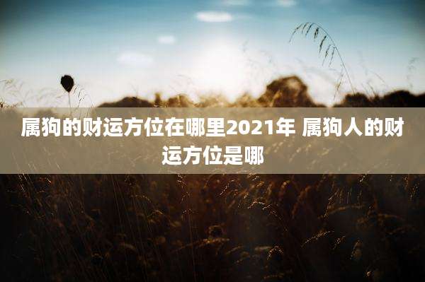 属狗的财运方位在哪里2021年 属狗人的财运方位是哪