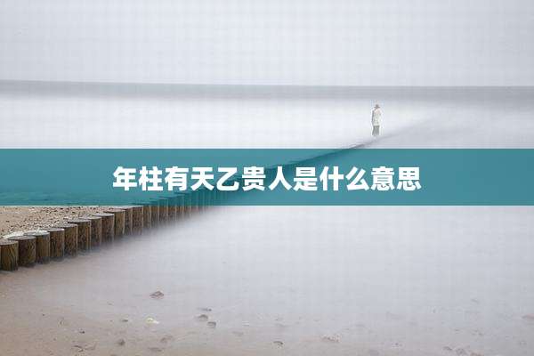 年柱有天乙贵人是什么意思