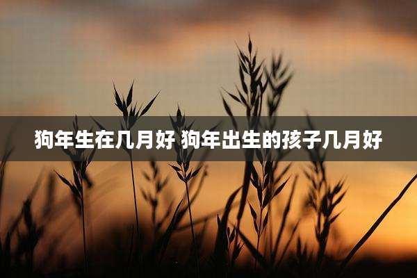 狗年生在几月好 狗年出生的孩子几月好