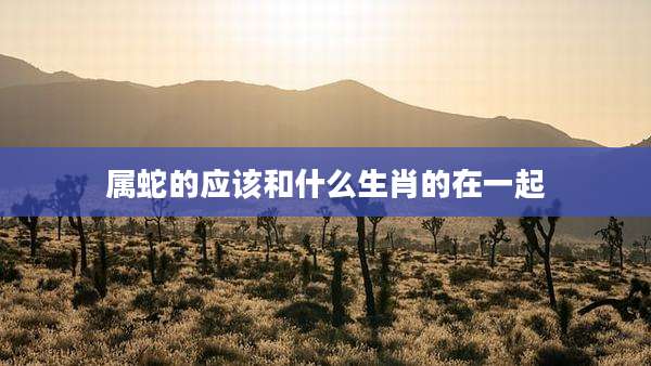 属蛇的应该和什么生肖的在一起