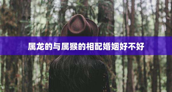 属龙的与属猴的相配婚姻好不好