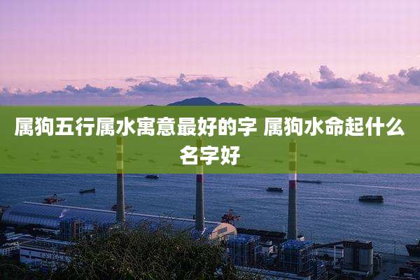 属狗五行属水寓意最好的字 属狗水命起什么名字好