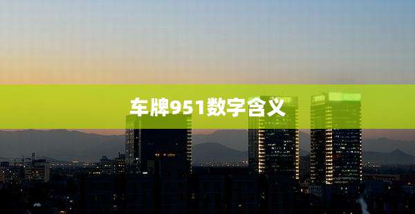 车牌951数字含义