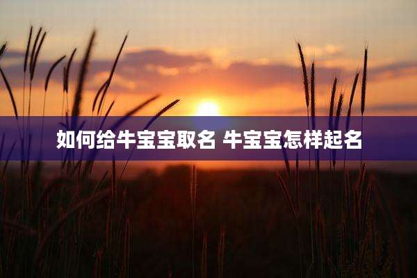 如何给牛宝宝取名 牛宝宝怎样起名